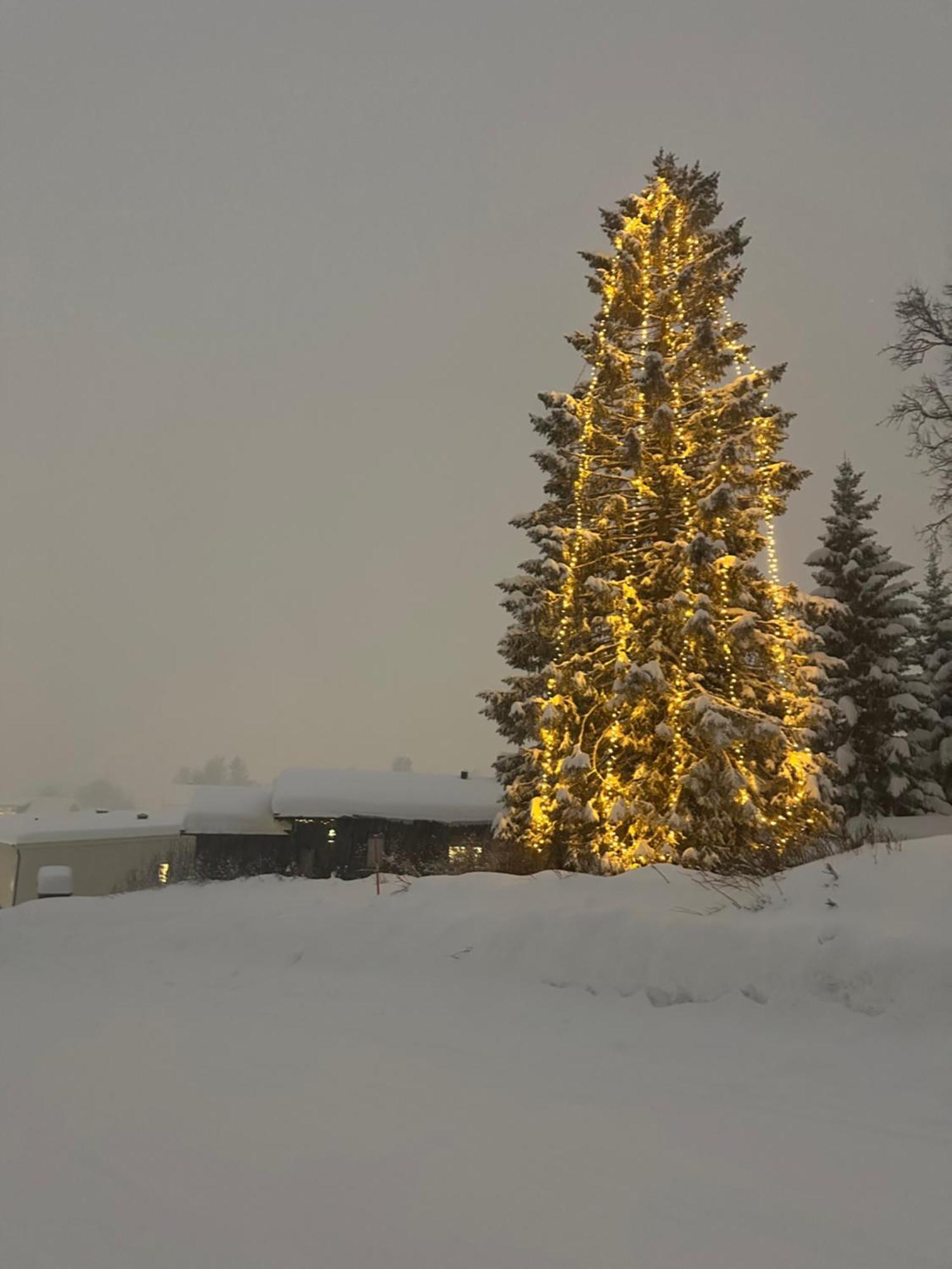 Koselig Byleilighet Sor I Sentrum Av Tromso. Exteriér fotografie